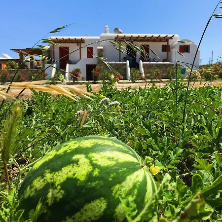 Διαμέρισμα Myconian Brothers *