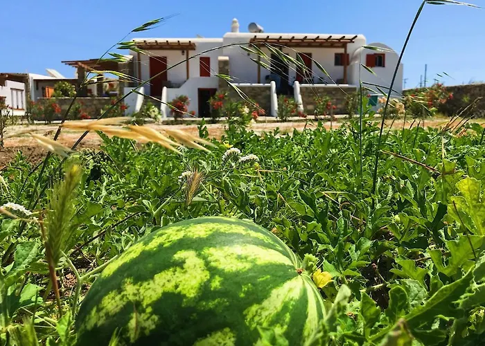 Lägenhet Myconian Brothers *